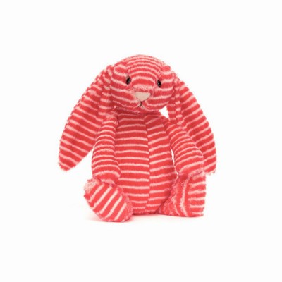 Jellycat Bashful Evey Bunny New Zealand | VJSTE9213